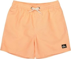 Quiksilver Everyday Deluxe 14" Badeshorts radiant yellow (Junior)