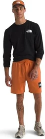 The North Face NSE Box Hose kurz iron bronze/tnf black (Herren)