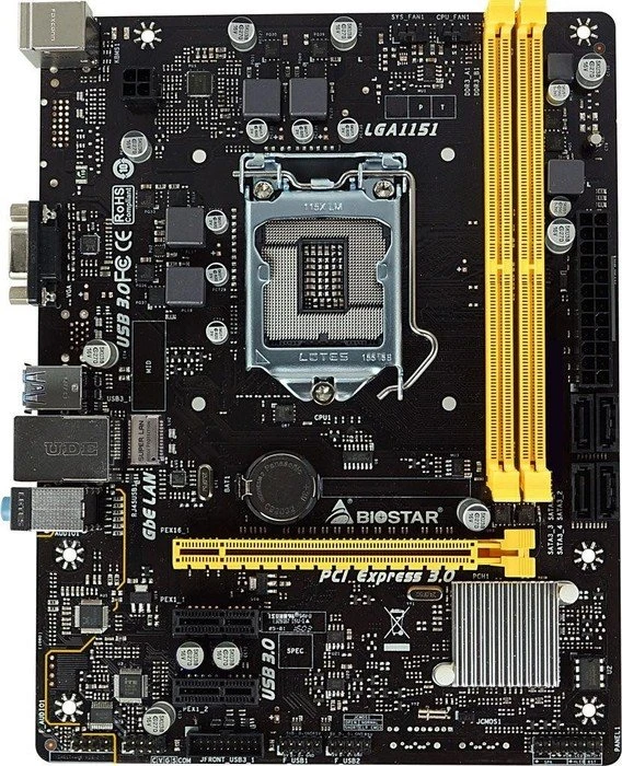 Biostar H110
