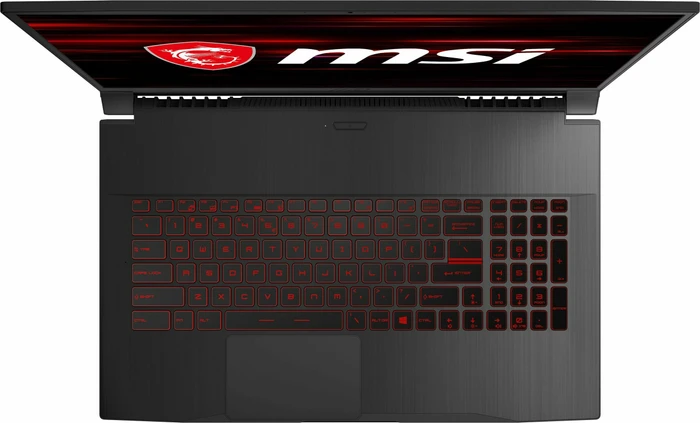 MSI GF75 Thin 10SDR-420, Core i7-10750H, 16GB RAM, 256GB SSD, 1TB HDD, GeForce GTX 1660 Ti, DE