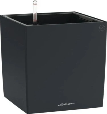 Lechuza Cube Color 30