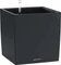 Lechuza Cube Color 30 Vorschaubild