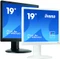 iiyama ProLite B1980SD-W1, 19" Vorschaubild