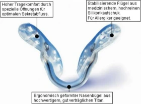 Sidroga Nasanita Nasenschmetterling