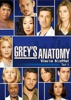 Grey's Anatomy - Die jungen Ärzte Season 4.1 (DVD)