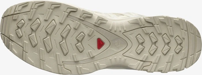 Salomon XA Pro 3D rainy day/vanilla ice/white