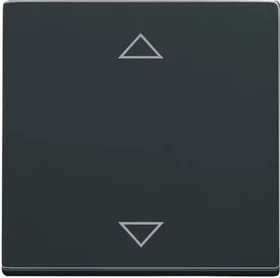 Busch-Jaeger future linear anthrazit