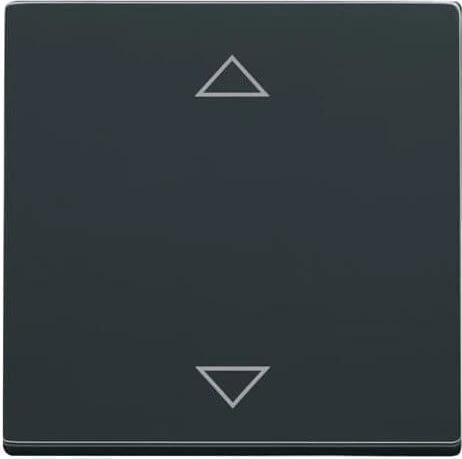 Busch-Jaeger future linear anthrazit