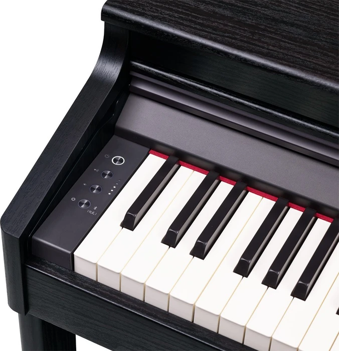 Roland RP701 schwarz matt
