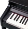 Roland RP701 schwarz matt Vorschaubild