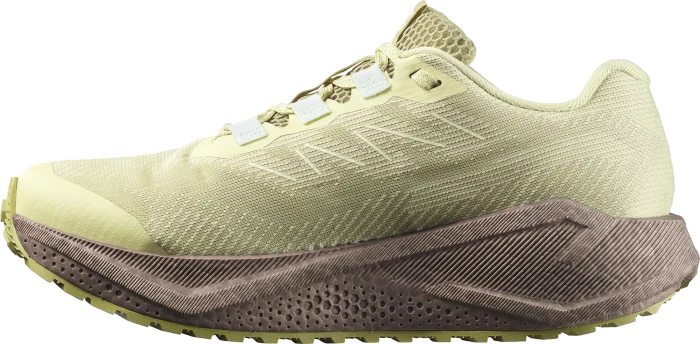 Salomon Aero Glide 3 GRVL GTX green haze/iron/ice flow (Damen)