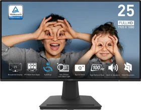 MSI PRO MP252DE, 24.5"