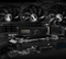 ADATA LEGEND 970 PRO 2TB, M.2 2280 / M-Key / PCIe 5.0 x4, Kühlkörper Vorschaubild