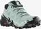 Salomon Speedcross 6 Gore-Tex aquifer/black/yucca (Damen) Vorschaubild