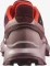 Salomon Supercross 4 GTX tawny port/deauville mauve/cherry tomato (Damen) Vorschaubild