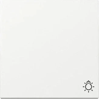 Gira Wippe mit Symbol Licht 3285