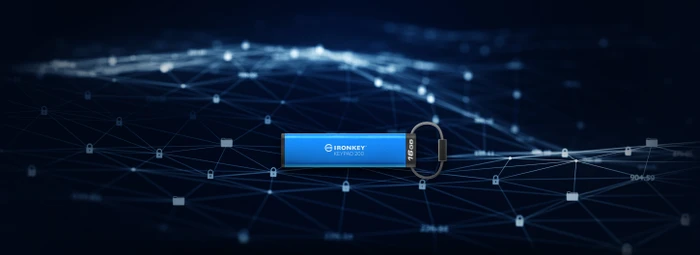 Kingston IronKey Keypad 200 16GB, USB-A, USB 3.2 Gen 1×1