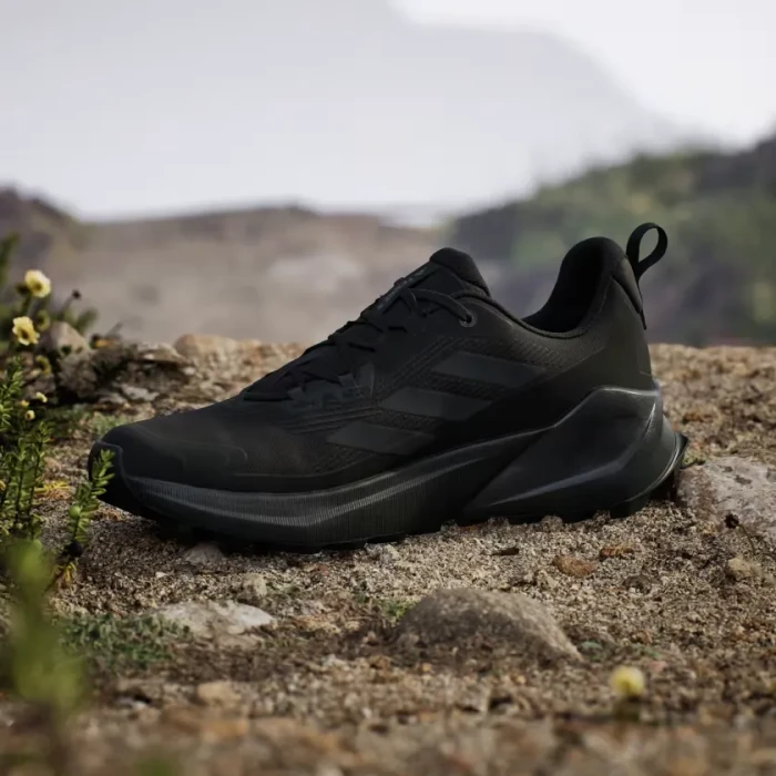 adidas Terrex Trailmaker 2 core black/carbon/grey four (Herren)
