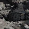 adidas Terrex Skychaser AX5 Mid GTX Climawarm+ core black/carbon (Herren) Vorschaubild