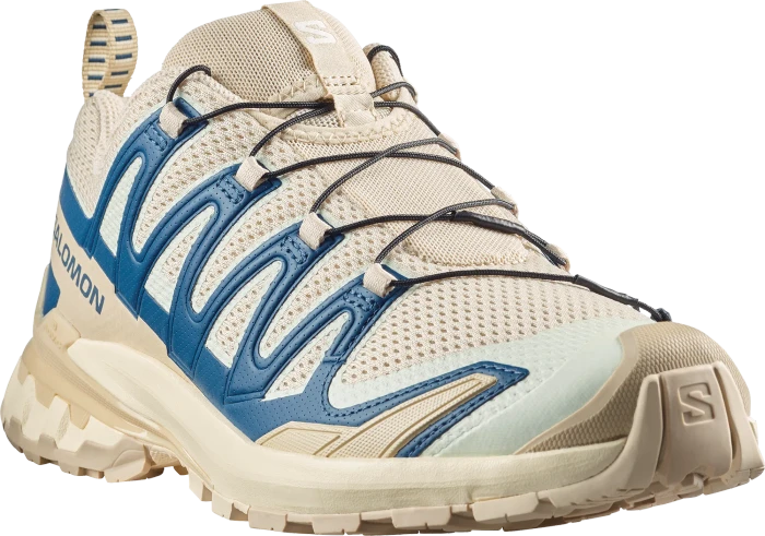 Salomon XA Pro 3D V9 Lifelong eucalyptus/iron (Herren)
