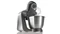 Bosch MUM57810 HomeProfessional Vorschaubild