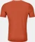 Ortovox 150 Cool Clean Funktionsshirt kurzarm desert orange (Herren) Vorschaubild