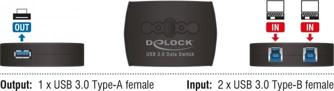 DeLOCK USB 3.0 Sharing Switch, 2-1, 2-fach
