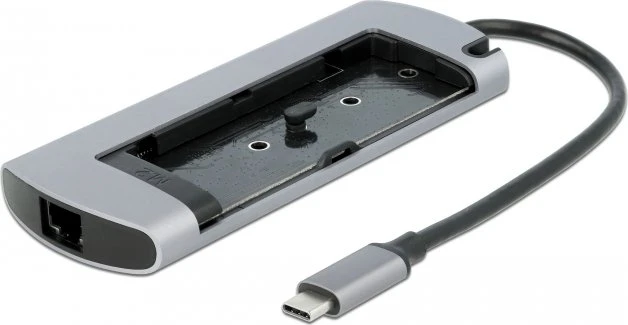 DeLOCK USB Type-C Docking Station mit M.2 Slot, USB-C 3.0 [Stecker]