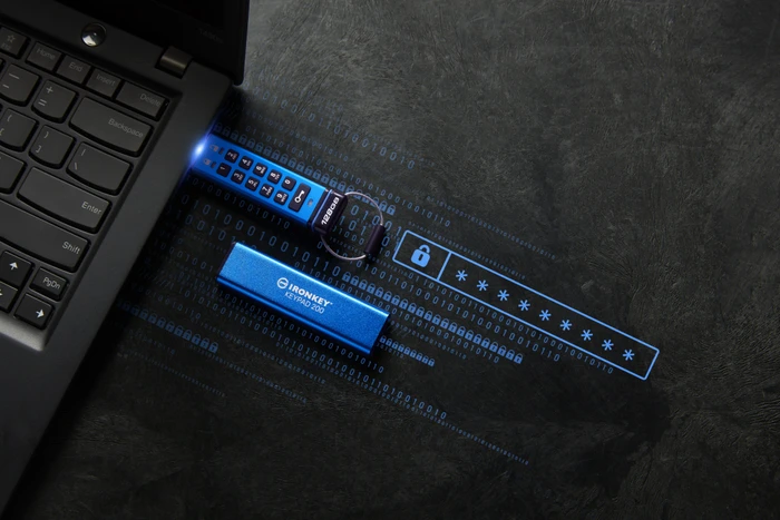 Kingston IronKey Keypad 200 16GB, USB-A, USB 3.2 Gen 1×1