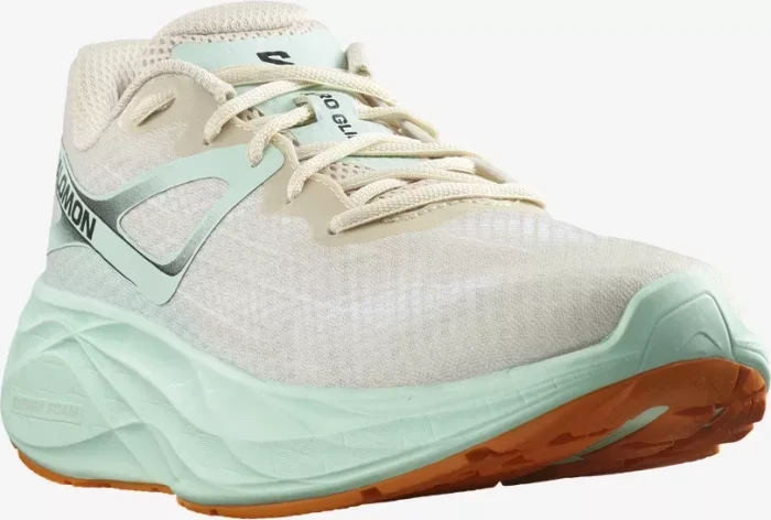 Salomon Aero Glide bleached sand/yucca/orange pepper (Herren)