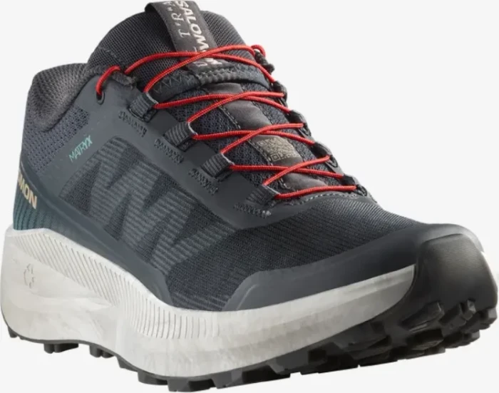 Salomon Vision