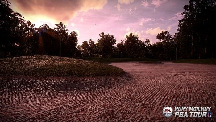 EA Sports Rory McIlroy PGA Tour (PS4)