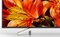 Sony FW-65BZ35F, 65" Vorschaubild