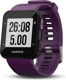Garmin Forerunner 30 amethyst (010-01930-05)