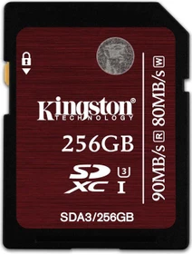 Kingston R90/W80 256GB, UHS-I U3, Class 10