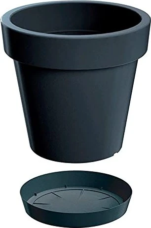 Prosperplast Lofly