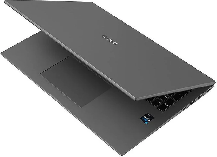 LG gram 17 (2022), grau, Core i7-1260P, 32GB RAM, 2TB SSD, DE