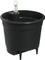 Elho Selbstbewässerungssystem Blumentopf living black Vorschaubild