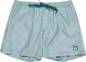 Quiksilver Everyday Deluxe 15" Badeshorts teal green (Herren)