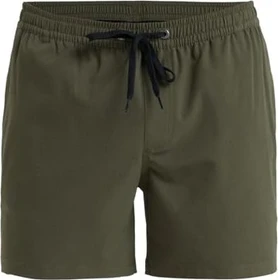 Quiksilver Everyday Flex 15" Badeshorts grape leaf (Herren)