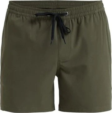 Quiksilver Everyday Flex 15" Badeshorts grape leaf (Herren)