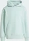adidas Premium Essentials Hoodie hazy green (Herren) Vorschaubild