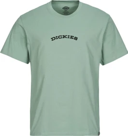 Dickies Canyon T-Shirt kurzarm iceberg green (Herren)