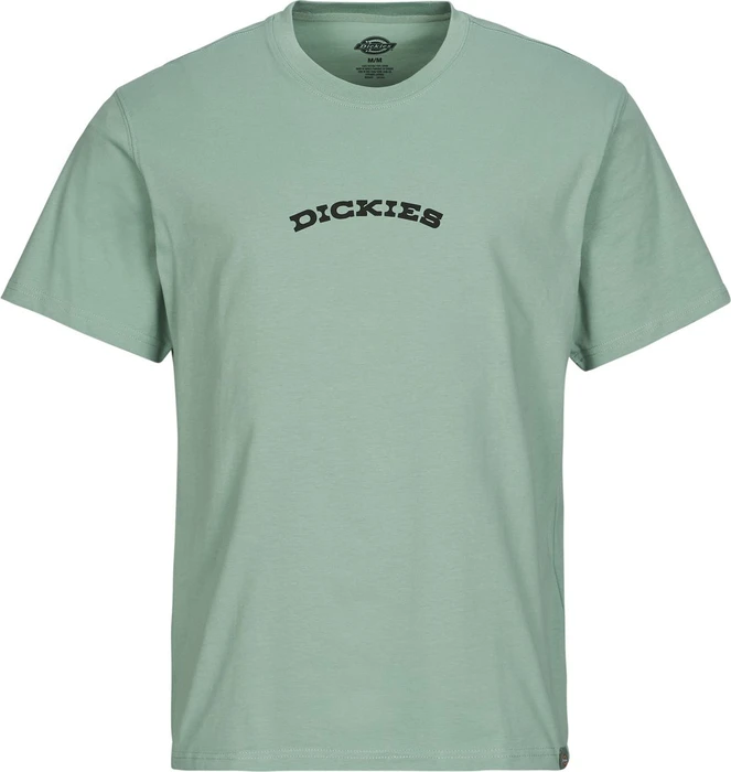 Dickies Canyon T-Shirt kurzarm iceberg green (Herren)