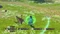 Tales of Berseria (PS4) Vorschaubild