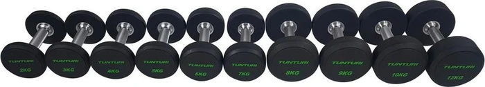 Tunturi Pro PU Kurzhantel 10er Set