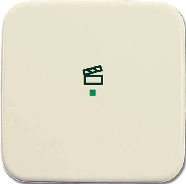 Busch-Jaeger Wippe 1-fach mit Symbol "Szene", weiß