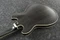 Ibanez Artcore AS53 TKF Transparent Black Flat Vorschaubild