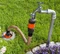 Gardena Pipeline Wasseranschlussdose Vorschaubild