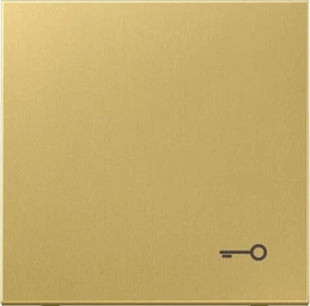 Jung Serie LS Wippe Symbol Tür, Messing classic